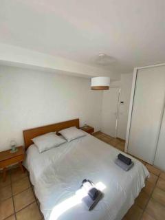 Appartement 2 pièces de charme climatisé - Nîmes - 6