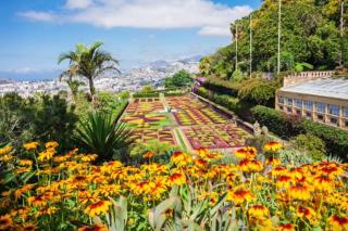 Comfortable 2-Bedroom Apartment for Relaxing Stays - Funchal - 1
