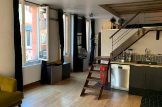 Bel appartement atypique quartier St Cyprien - Toulouse - 9