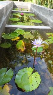 Centro Social Ecoturistico La Alberca - 5