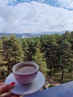 Zlatibor Royal Dream - Zlatibor - 5