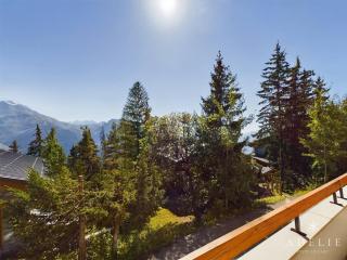 Appartement Coquet 3 Pièces, Plein Centre de La Rosière, Proche Pistes et Commerces - FR-1-398-657 - 1