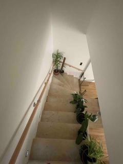 Maison moderne au calme - 3