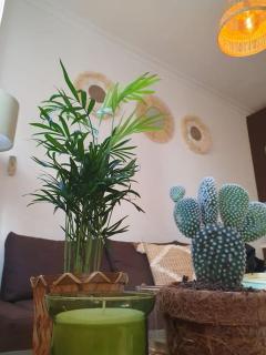 Casa Carvy: Relax, Explore, Enjoy - 3