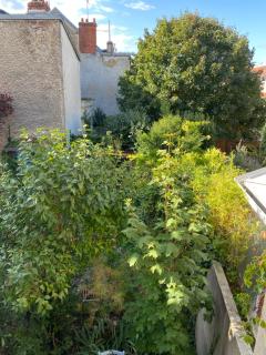 Appart Rez de jardin - Dijon - 5