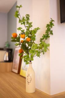 Baan Sinkaew Chiangmai - บ้านสินแก้ว อพาร์ทเม้นท์ เชียงใหม่ - 7