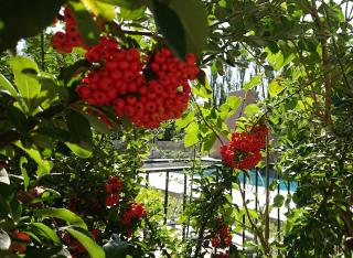 Lodges & Nature - 47 - Avignone - 9