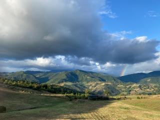 Fuoridicampo rossa - 2