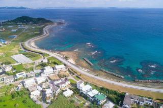 Sun flower - Nanjo - 6
