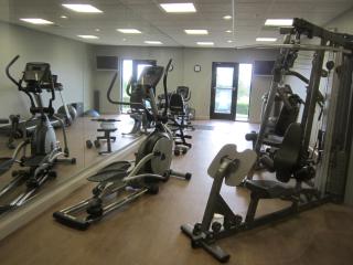 Holiday Inn Express Hotel & Suites Lake Placid by IHG - Lake Placid - 7