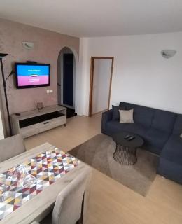 Apartman Bogdan - Soko Banja - 9