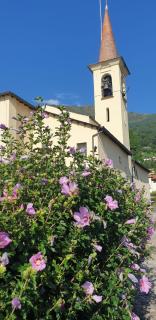 Residence Laguna Beach - Pianello Del Lario - 6