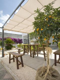 B&B Virò - Campi Salentina - 8