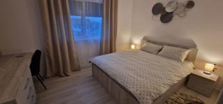 Moșnița CrisApart04 - factura PJ - 8