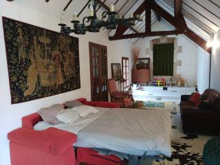 Gîte de la Venerie Indre 36 - Mers-sur-Indre - 6
