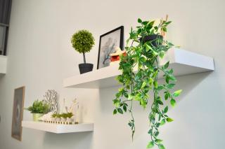 SP Central Loft - Volos - 1