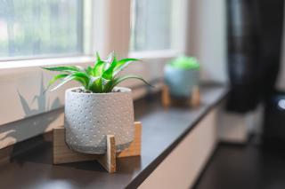 Les Figuiers - Appartement Cozy avec Jardin - 4