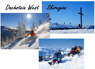 Villa Edelweiss - 3 to 6 Guests - private use of indoor pool, sauna and garden terrace - Abtenau - 7