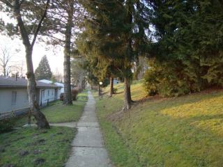 Traumhaftes Ferienhaus - 8