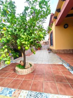 Casa 4 dormitorios en Ayamonte - Ayamonte - 9