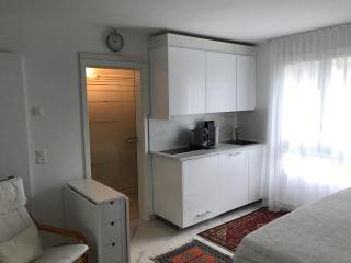 STUDIO "Helvetia Star" in Zürich-Pfaffhausen - Pffaffhausen - 2