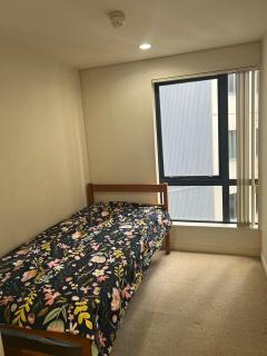 Sapphire Apartment 2 Rooms!! - Auckland - 9