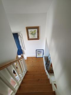 Le champ du petit bois - 8