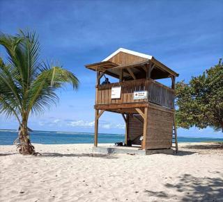 Fleurs, Mer, Colibris. Plage L'Autre Bord - 9