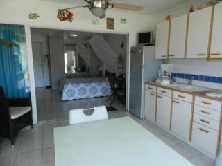 Fleurs, Mer, Colibris. Plage L'Autre Bord - 8