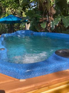 3Gulls Inn Ozona-Boutique Hotel-Steps from Restaurants & Brewery-SwimSpa Pool-Pet Friendly - Palm Harbor - 1