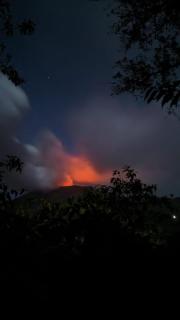 Castle Tree House And Bungalow - 2