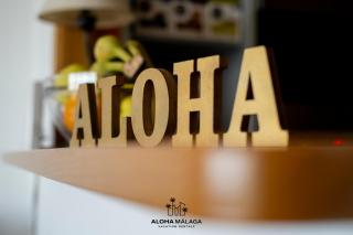 SOHO PUERTO CONFORT by AlohaMalaga - Málaga - 6
