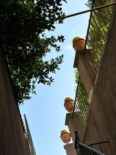 Biscari home - Catania - 6