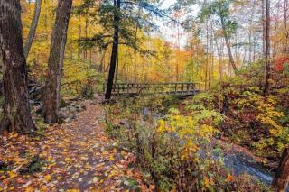 Mtn Oasis! HotTub! Pets Approved! 5min to Ski! - Beech Mountain - 2