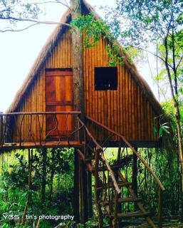 Sanctuaria Treehouses Busuanga - 6