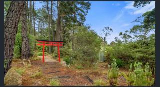 Jamieson Cottage - Wentworth Falls - 1