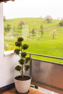 Ferienwohnung Weitblick mit Sauna - Daisendorf - 9