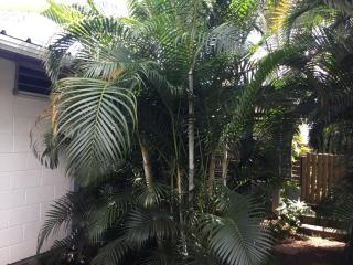 Villa Deluy - Saint-Paul - 2