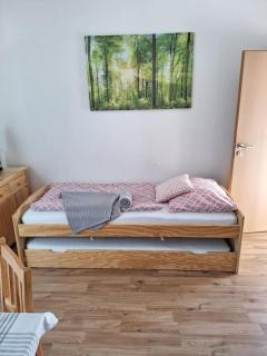 Apartmán H&H na Vysočině - Střítež - 1