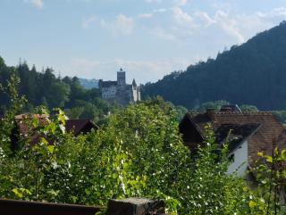 Pensiunea Transilvania Lodge - Bran - 7