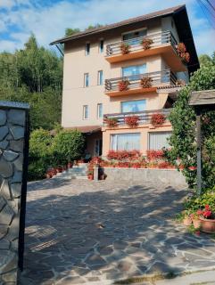 Pensiunea Transilvania Lodge - Bran - 9