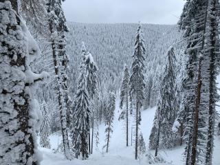 ZIMSKI Apartmani - Kopaonik - 1