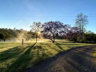 Kenilworth Farmhouse - Coolabine - 7