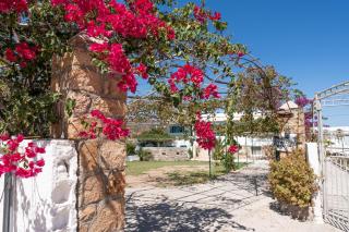 Beachfront Lampis Dolphin 4 - Skala - 3