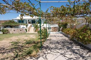 Beachfront Lampis Dolphin 4 - 9