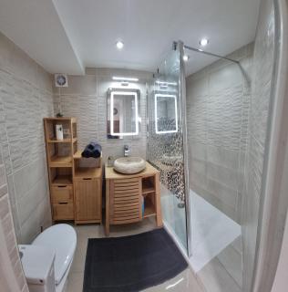 Studio Arena - Groupama stadium Lyon - Meyzieu - 9