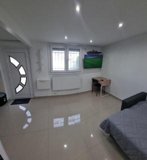 Studio Arena - Groupama stadium Lyon - Meyzieu - 7