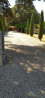 La maison de Nazig - 7