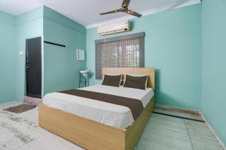 Collection O Palm Exotica - - 5