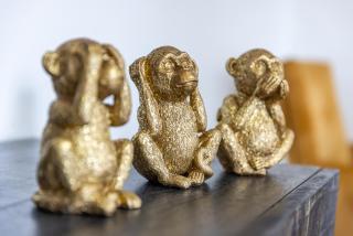 Monkey Flat 2 Zimmer Wohnung in Vohburg mit Büro - Vohburg an der Donau - 4